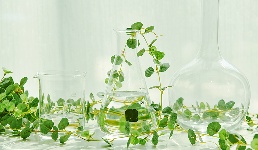 プライバシーポリシー画像