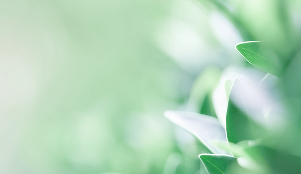 サイトマップ画像